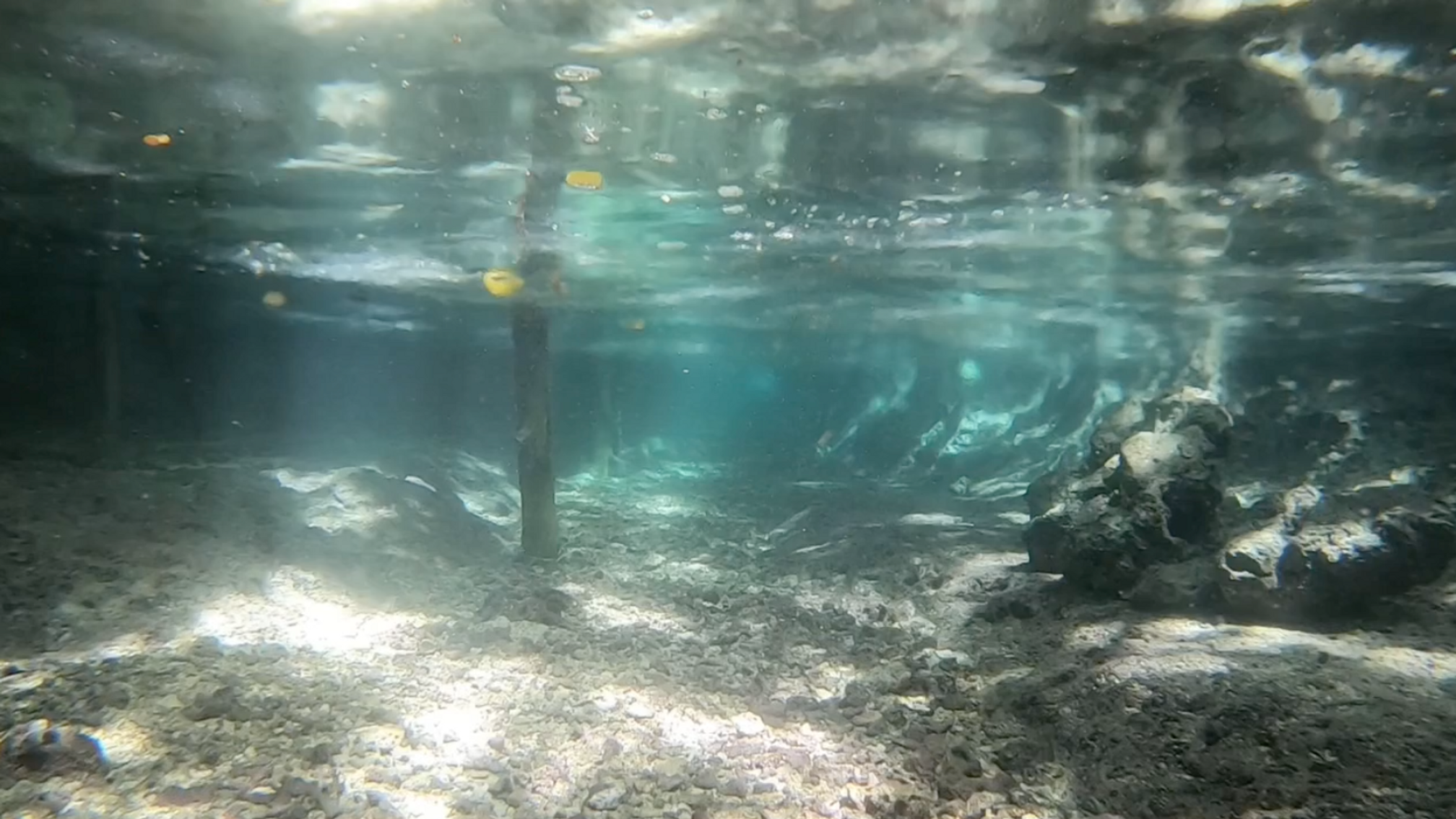 Kasaka Wanggasa, Buton Tengah